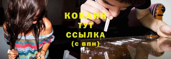 индика Лихославль