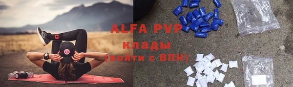 индика Лихославль