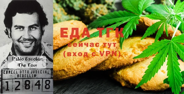 индика Лихославль