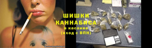 индика Лихославль