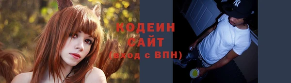 индика Лихославль
