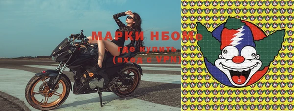 индика Лихославль