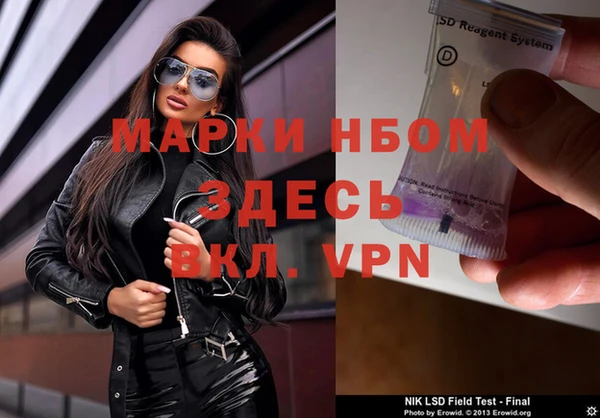 индика Лихославль