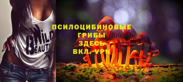 индика Лихославль
